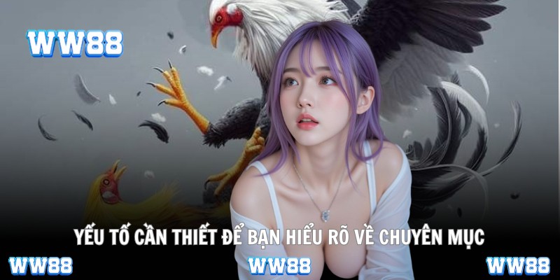 Yếu tố cần thiết để bạn hiểu rõ về chuyên mục