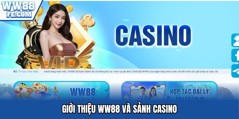 Giới thiệu WW88 và sảnh casino